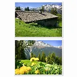 Bitschnau Appartement