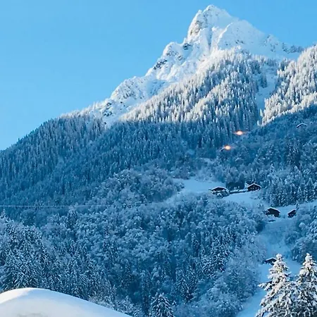 アパート Bitschnau