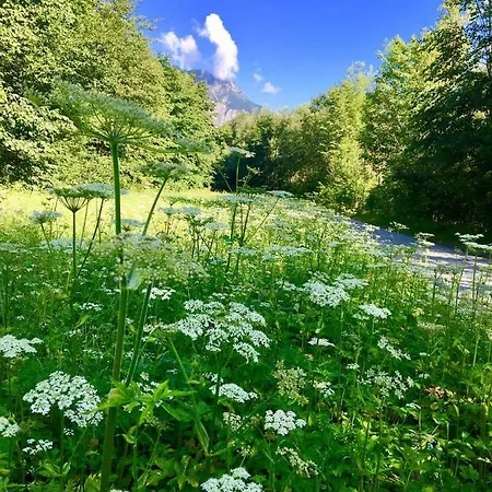 Bitschnau Апартаменты *