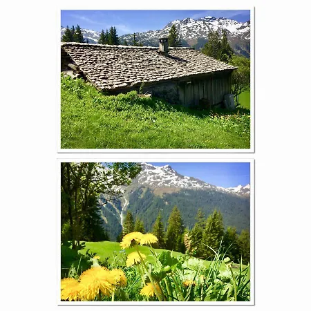 Bitschnau 公寓