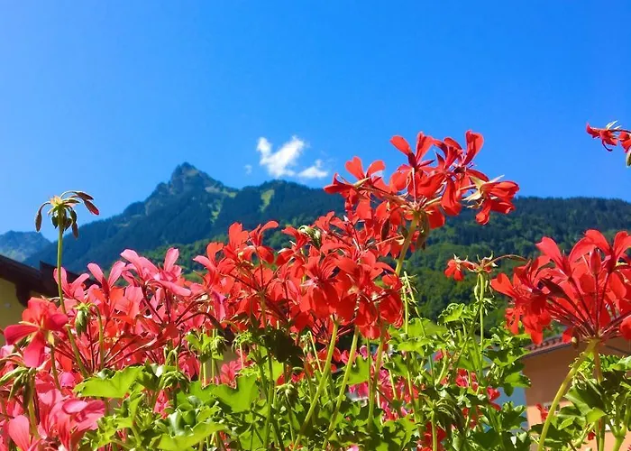 Bitschnau * Tschagguns