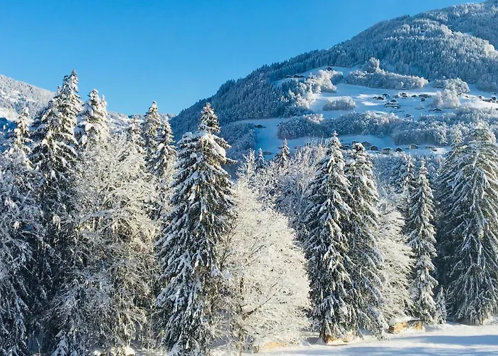 Apartment Bitschnau Tschagguns