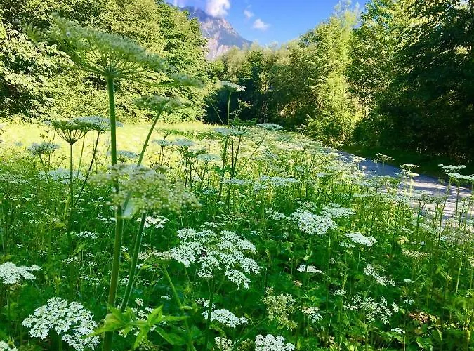 Bitschnau Apartmán *